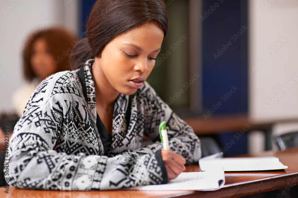 Poster nothing replaces hard work and diligent focus. cropped shot of a student working diligently at her d