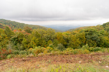 Fototapeta na wymiar Beautiful landscape on the blue ridge Parkway national park in NC with autumn colors of red, orange, yellow green and brown. with overcast sky. Sadly, there’s some trash. It’s a Horizontal photograph 