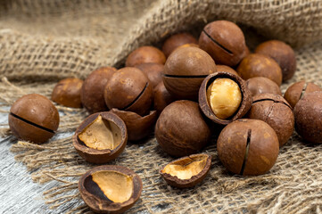 Macadamia. Macadamia nuts lie in a pile on a rough gray cloth, peeled and unpeeled in the shell