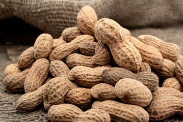 Unpeeled peanut lies on the material, fabric. peanut nuts