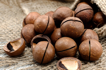 Macadamia. Macadamia nuts lie in a pile on a rough gray cloth, peeled and unpeeled in the shell