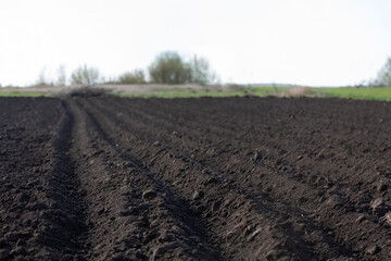 Fototapeta na wymiar Spring arable land on a farm with black soil, fertile soil of the agro complex