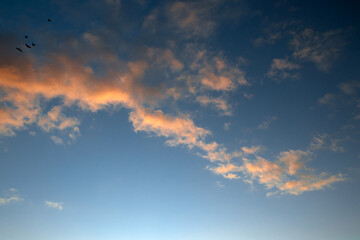 Obraz premium pink clouds in the morning, beautiful sky, Fuerteventura, with flying birds top left
