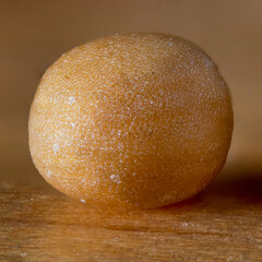 Mustard seed, macro shot