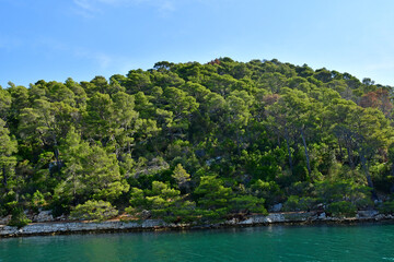 Fototapeta na wymiar the Mljet island, Croatia- september 3 2021 : picturesque island in summer