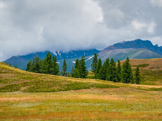 Dramatic view to cedar forest and high mountain range in sunlight under cloudy sky in changeable...