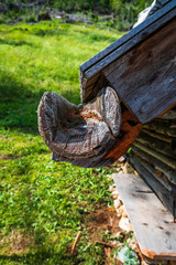 Sappada. Know the woods, the mountains and the villages. Dolomites.