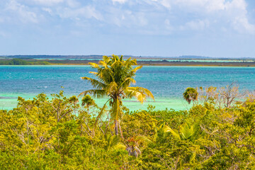Muyil Lagoon panorama view in tropical jungle of amazing Mexico.