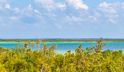 Fototapeta na wymiar Muyil Lagoon panorama view in tropical jungle of amazing Mexico.