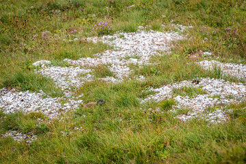 Dolomites. Monte Civetta and the Coldai lake. Dream summer