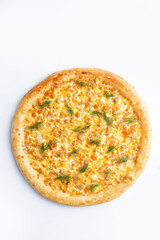 Big pizza with cheese on a white background.