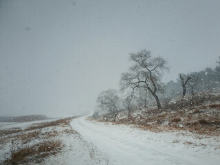 Country road between the frozen lake and leafless forest. Numb winter nature under snowstorm weather