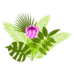 Bouquet with tropical palm leaves, monstera and protea flower isolated on white - bunch of tropic exotic plants for summer natural design