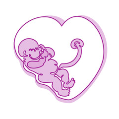 baby embryo inside heart shape