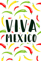 Mexican banner or card design Viva Mexico holiday, vector illustration EPS10