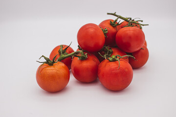 Cherry tomatoes on branch stand on white background