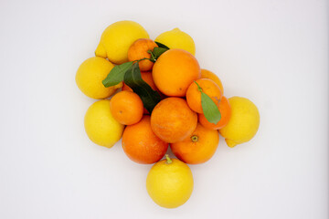 Few oranges, tangerines and lemons on white background.