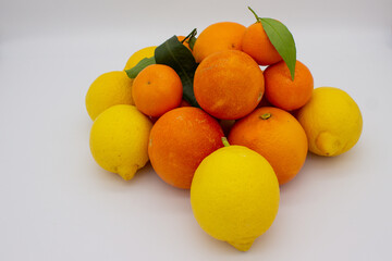 Few oranges, tangerines and lemons on white background.