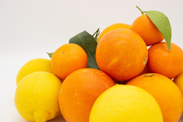 Few oranges, tangerines and lemons on white background.