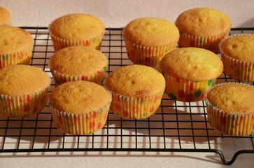 homemade cakes. sweet cupcake, pastry dessert.