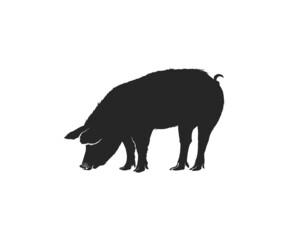 Pig vector icon. Pig vector silhouette icon