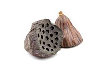 Dried lotus flower seed pods isolated on white