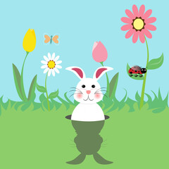 Easter bunny sees his shadow