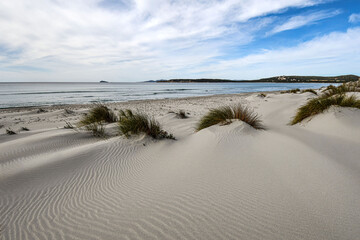 Fototapeta na wymiar una immensa spiaggia di dune bianche a Porto Pino in Sardegna
