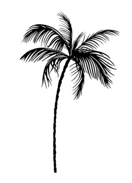 Palm object black. Vector illustration