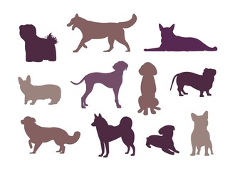 A set of silhouettes of different dog breeds in poses. Corgi, Jack Russell Terrier, Dalmatian, dachshund, pug and husky vector set. Jack russell terrier, golden retriever, cocker spaniel