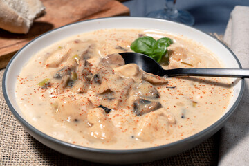 Homemade cream of chicken and mushroom soup or French style chicken fricassee with bread on a side, in a soup bowl on a wooden table. High view.