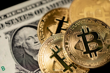 Bitcoin dollar crypto