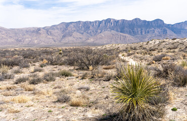 Guadalupe Mountain National Park