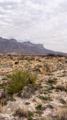 Guadalupe Mountain National Park