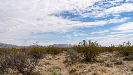 Guadalupe Mountain National Park