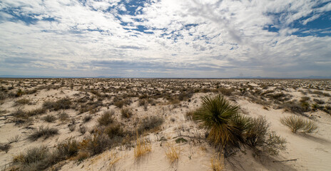 Guadalupe Mountain National Park