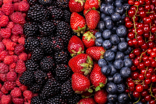 Different berry fruits background. Strawberry, blueberry, raspberry, red currant and blackberry mix.