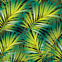 Palm. Pattern from tropical branches of plants and trees. Vector image. 