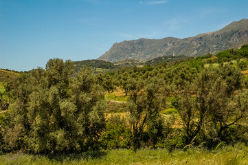 Fototapeta na wymiar Central Mountainous Crete