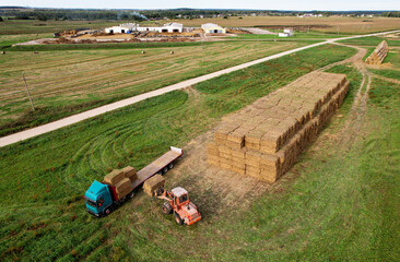 Hay Trailer with round bales. Front end loader unloading round bales. Store hay at farm. Hay rolls...