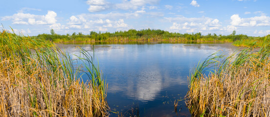 quiet small lake among prairies, summer outdoor scene