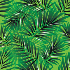 Palm. Seamless pattern of branches and leaves of tropical plants and trees. Vector image. 