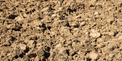 Moved land in fallow barley cultivation fields