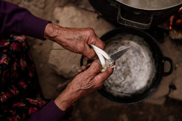  to cook in the mountains