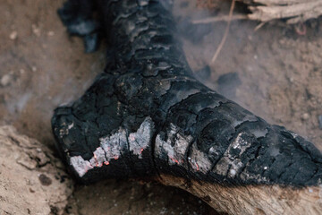burning firewood on the mountain floor