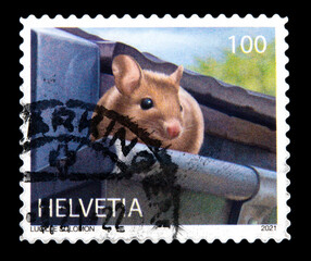 briefmarke stamp vintage retro gestempelt gebraucht used frankiert cancel papier paper maus mouse...