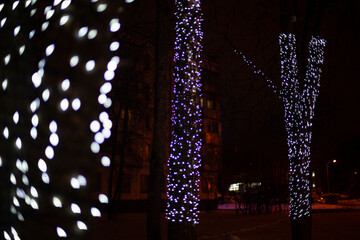 Trees are decorated with light bulbs. New Year's decoration of city. LEDs glow at night.
