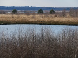 Wasser im Himmelmoor