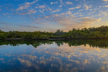 Sunrise waterscape with scattered clouds and reflections