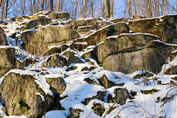 Rocky Mountain - Winter, Nature, Forest